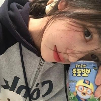 挎斗摩托车里的狗